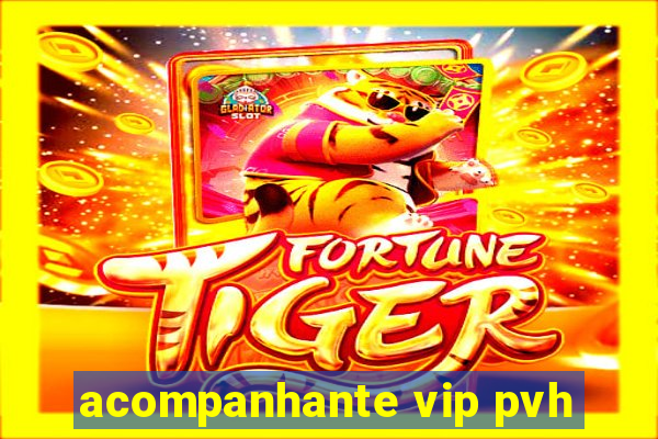 acompanhante vip pvh